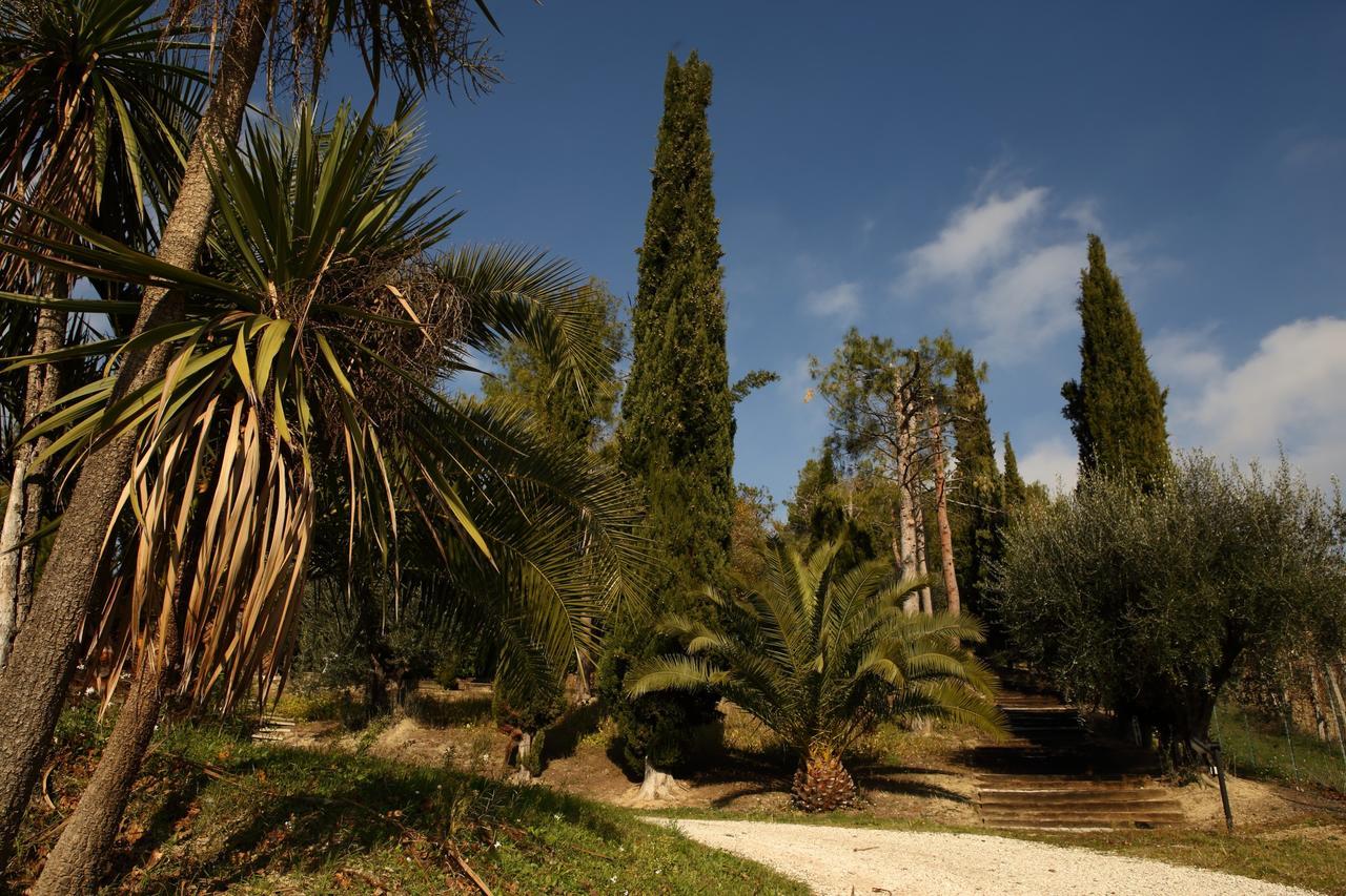 La Casa In Campagna Bed & Breakfast Cossignano Exterior foto