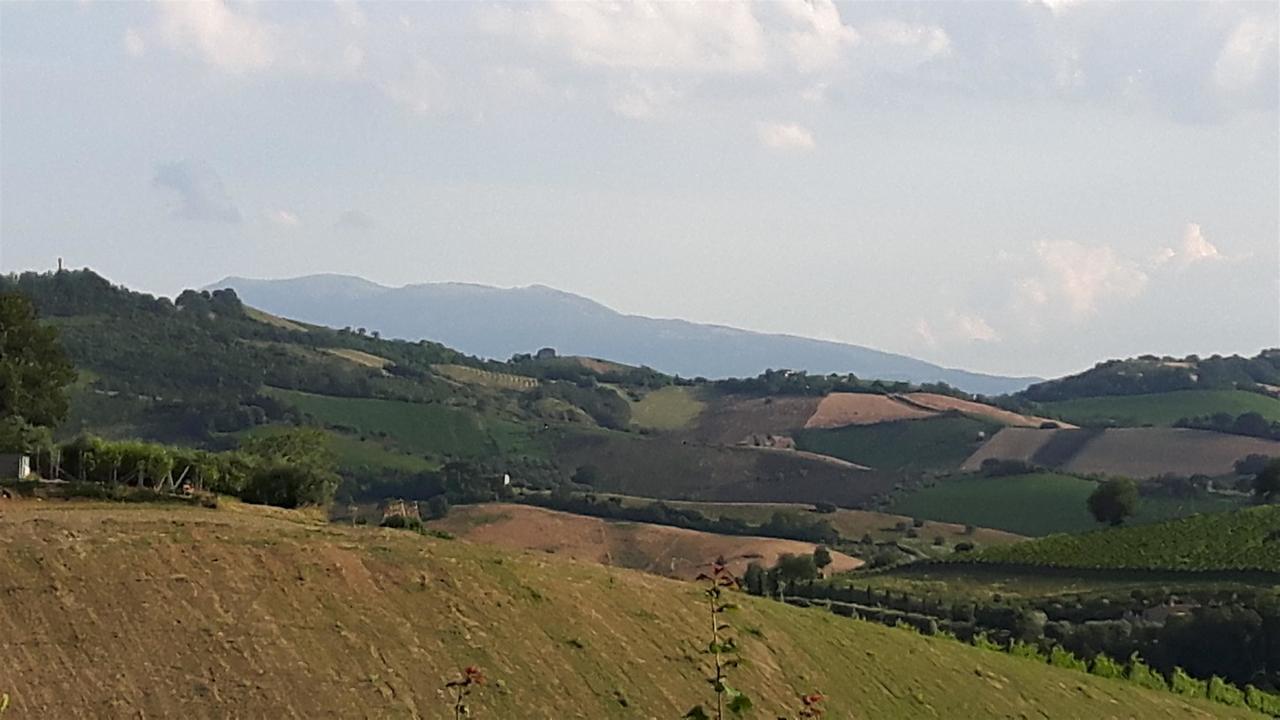 La Casa In Campagna Bed & Breakfast Cossignano Exterior foto
