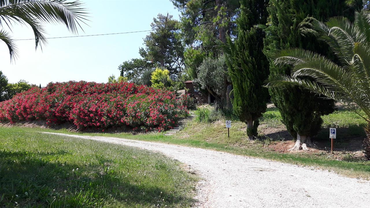 La Casa In Campagna Bed & Breakfast Cossignano Exterior foto